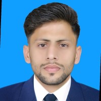 Muhammad Ali Hassan a SEO Expert