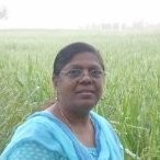 Caroline Mathew