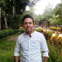 Seyed Alireza Hosseini