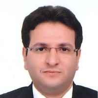 waleed Hafez