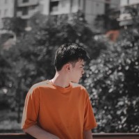 Minh Luu Bao