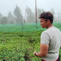 Mohd Rayyan