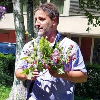 Kurt Altermatt