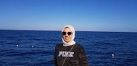 Dina N