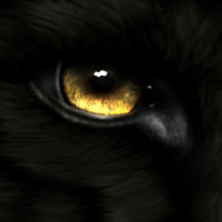 Hamza Özdemir