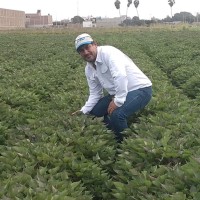 gustavo mayanga ayala