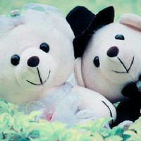 杨云云