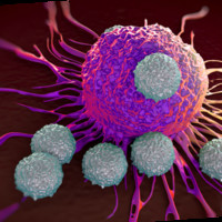 Clinical immunology infectious diseases