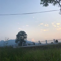 徐亚芳