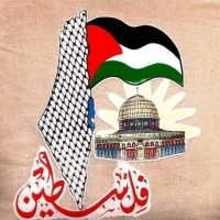 محمود ابوالعز
