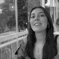 Maria Afonso