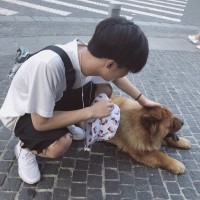 吴玉鸿