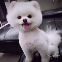 傲天不鬧