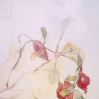 Claire Booth