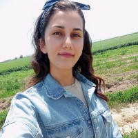 Yasemin Biber