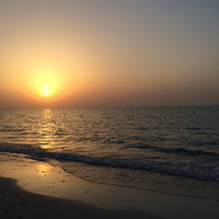 Ali Al-Hazzaa