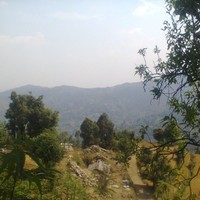 Devendra Bisht
