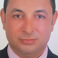 Waleed Essam El-Din Kandil