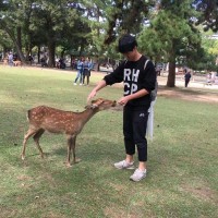 张翔飞