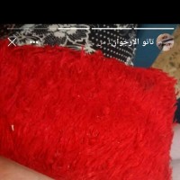 نور سعيد