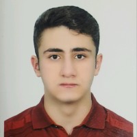 Maziar Afshar