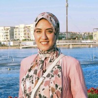 Alaa Mostafa
