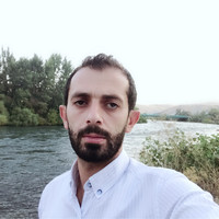 Ari Faris