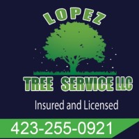 Lopez Tree Service Lawn service