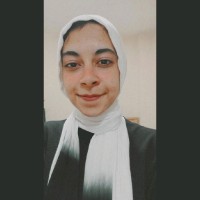 norhan ali