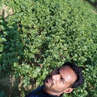 Sachin Yadav