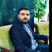 Amr M Abdallah