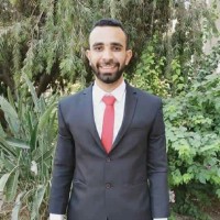 Mohamed Nasr