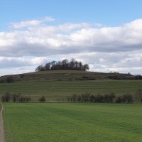Earth Trust Comms Little Wittenham