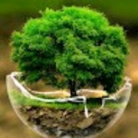 Jagdeep Saini