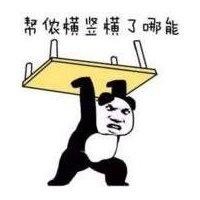 冯晨佳
