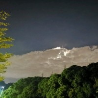 陈向坤