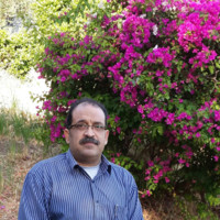 Yasser Rezk