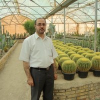 رسول سید حسینی