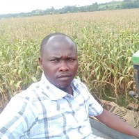 brian konga