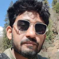 Vidit V Kumar