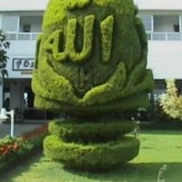 Ail Gmail