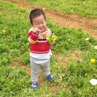吴冬平