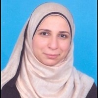 basma hegazy