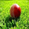 Game Of Cricket