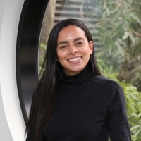Alice Camargos