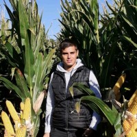 Álvaro Alonso Barajas