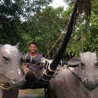 Khun Voeng