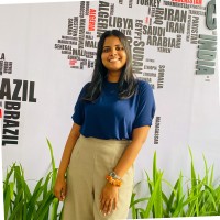 Dilmi Kolonne