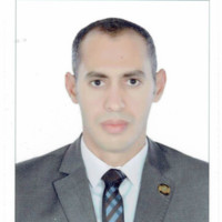 Dr.Ibrahim Ashour (Ph.D., Esaa, Ets, Asa)