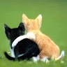 Onelove Family